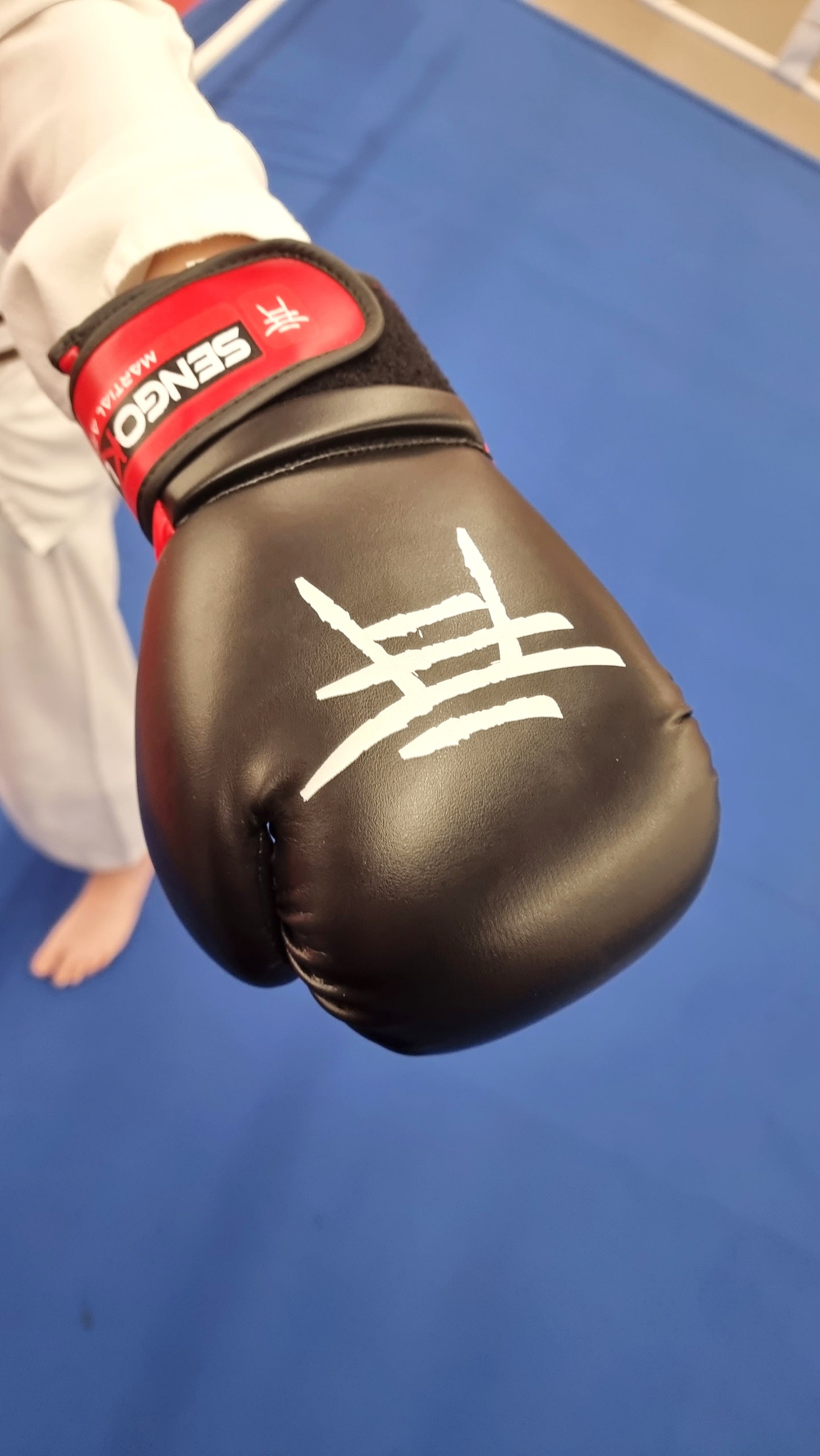 Sengoku Boxing Gloves