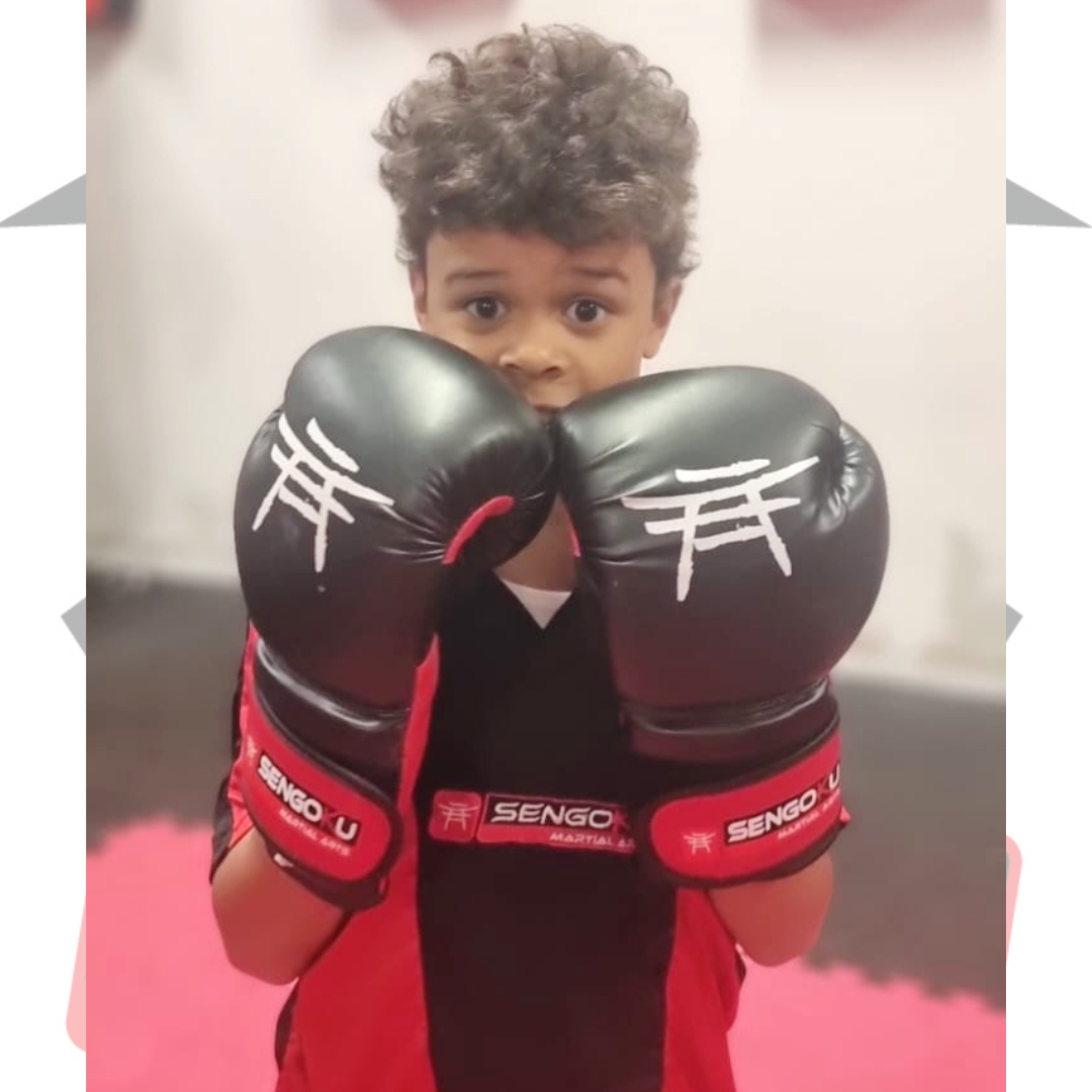 Sengoku Boxing Gloves