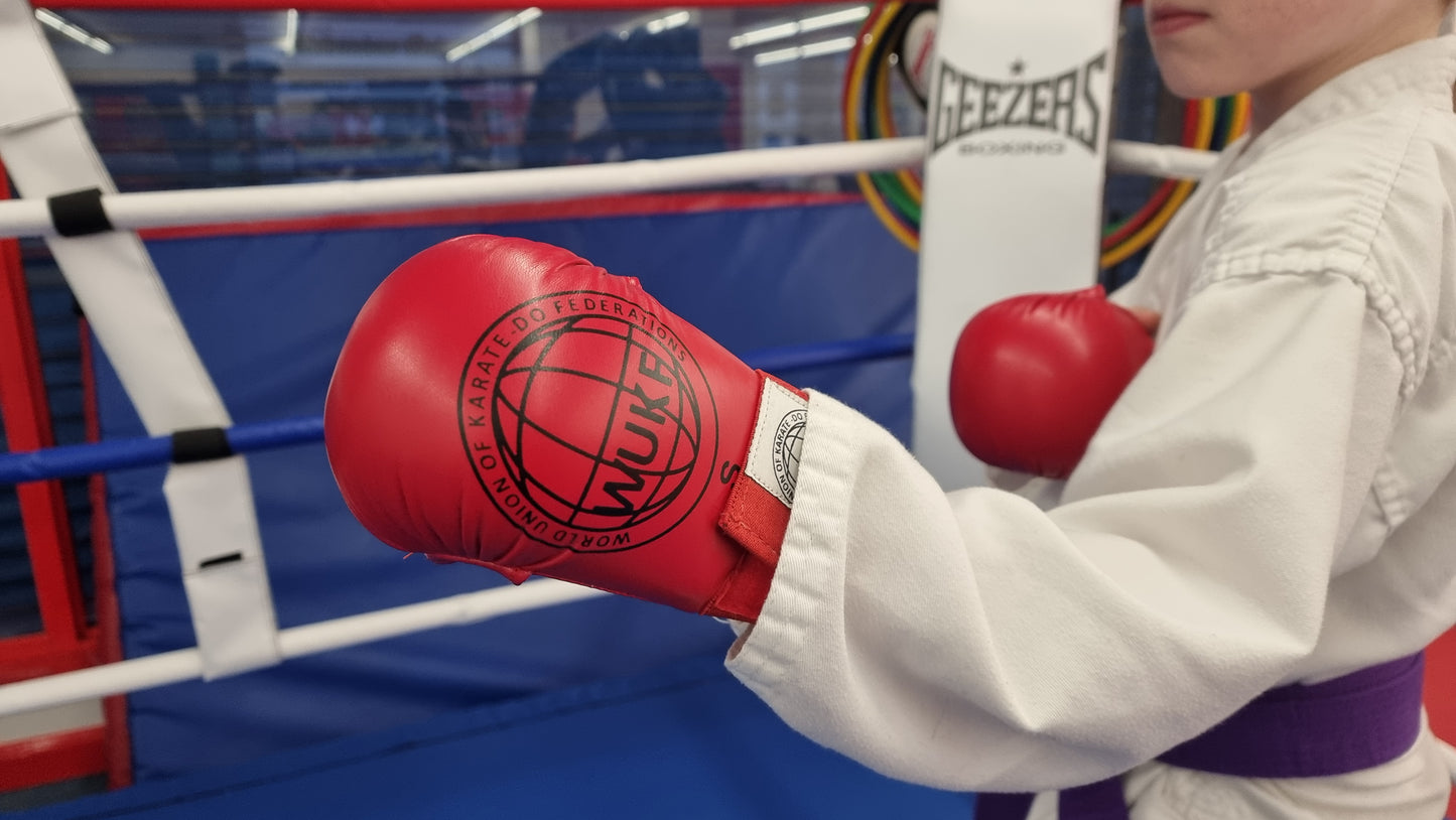 Karate sparring mits